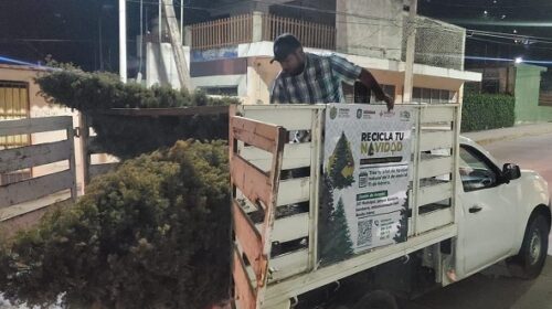 “Recicla Tu Navidad” a partir del 9 de enero