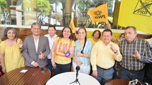 PRD Veracruz y Sara Ladrón de Guevara unidos por un Veracruz seguro